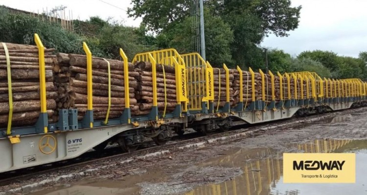 Transporte especializado de madera y productos derivados